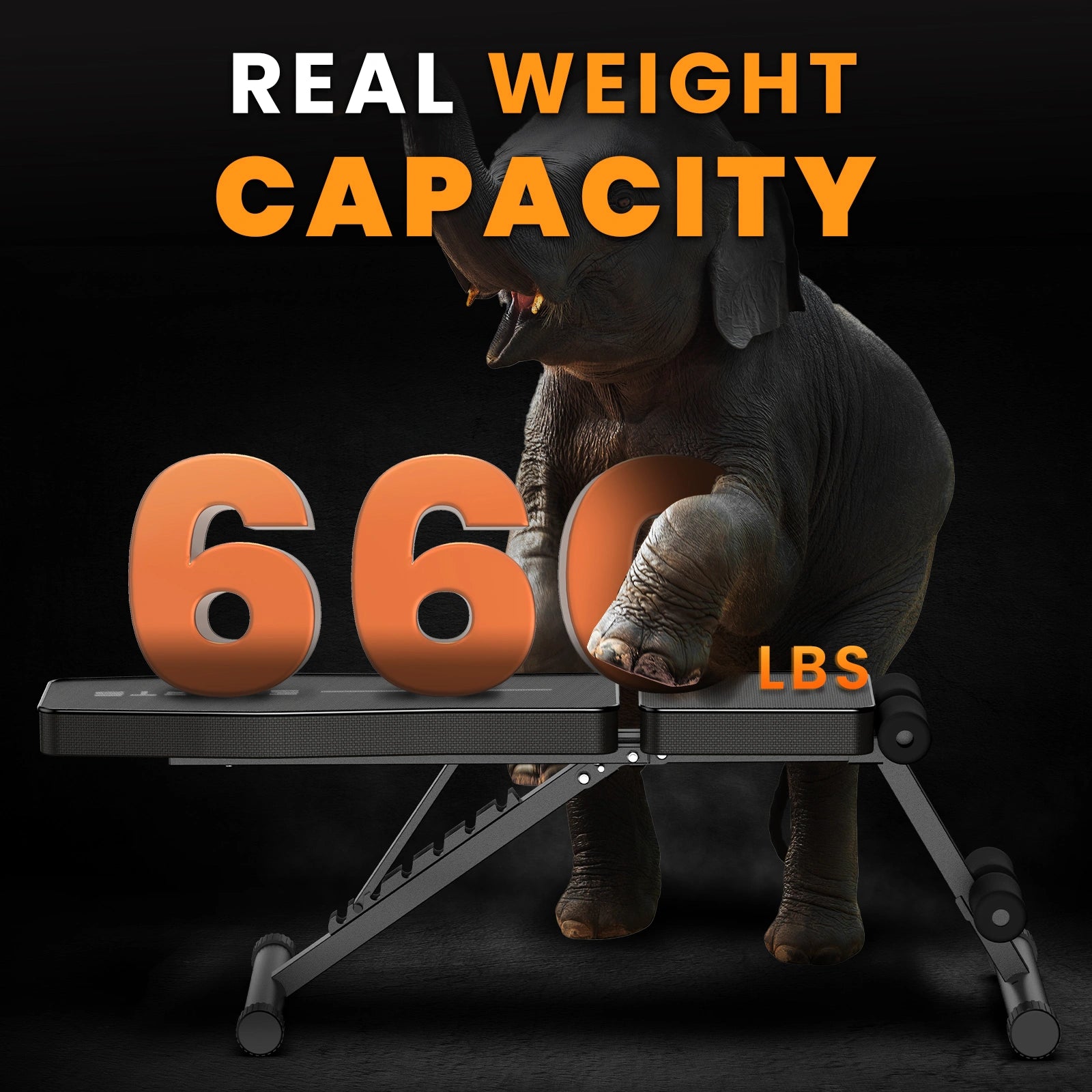 Banc de musculation ZX-1