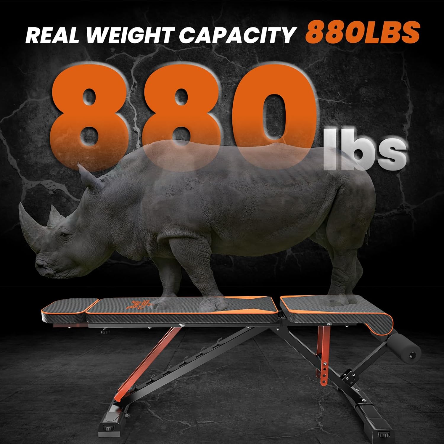 Banc de musculation orné d'un rhinocéros et de l'inscription « 880 lbs » sur fond sombre.